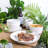 Stone Lain Albie 16-Piece Dinnerware Set Stoneware-48800375