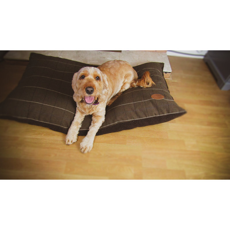 Belanger Pet Bed, 120cm W x 70cm D x 3cm H