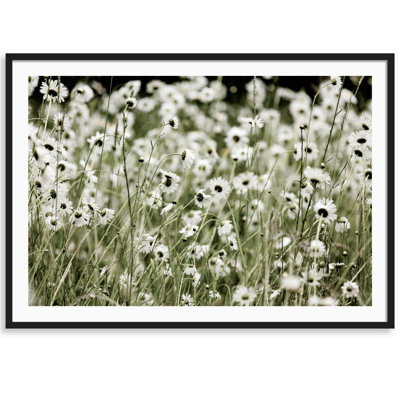 Wild Flowers Print by Carly Tabak
