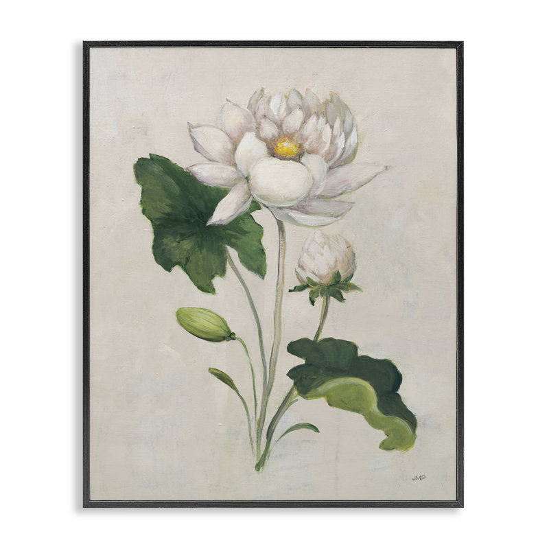  Estampe numérique gracieuse et bourgeonnante par Julia Purinton, H 14 po x l 11 po, Giclée encadrée noir minuit