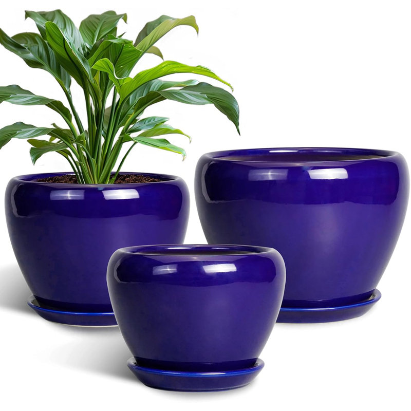 Ensemble de 3 pots à plantes en céramique bleue (10 po, 8 po, 6 po) avec trous de drainage et soucoupes