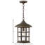 Lanterne suspendue d'extérieur 1 lumière H 14 po Freeport-945912959
