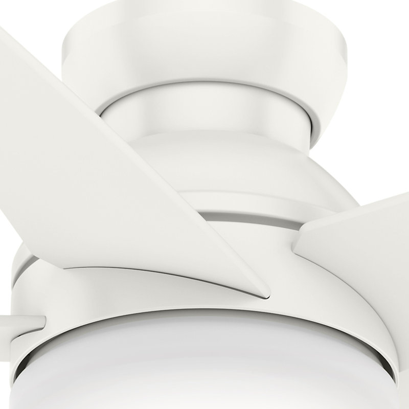 44" Isotope 5 - Blade LED Flush Mount Ceiling Fan with Wall Control and Light Kit Included, Fresh White