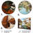 Rustic Landscape & Nature Wall Decor on Metal