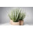 Herb Artificial Plants in Pots