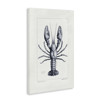 Toile d'échantillon de homard scientifique, design par Tina Higgins Designs Inc.