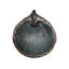 Scallop Shell Birdbath and Feeder with Stake