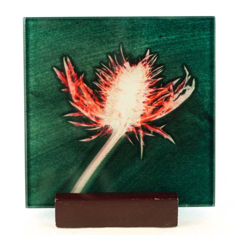 Glass Square 1 Piece Coaster, Green