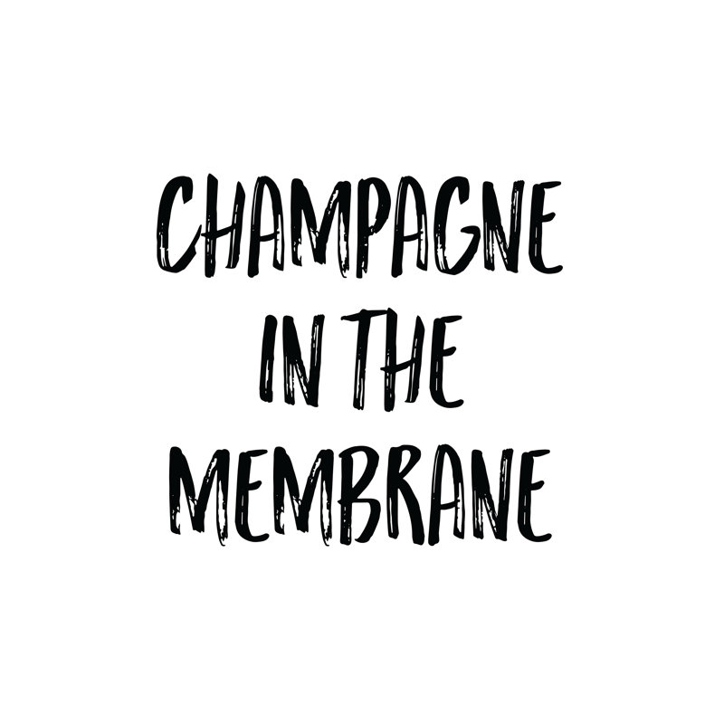 Champagne Membrane - Wrapped Canvas Print, 30cm H x 30cm W x 3.8cm D