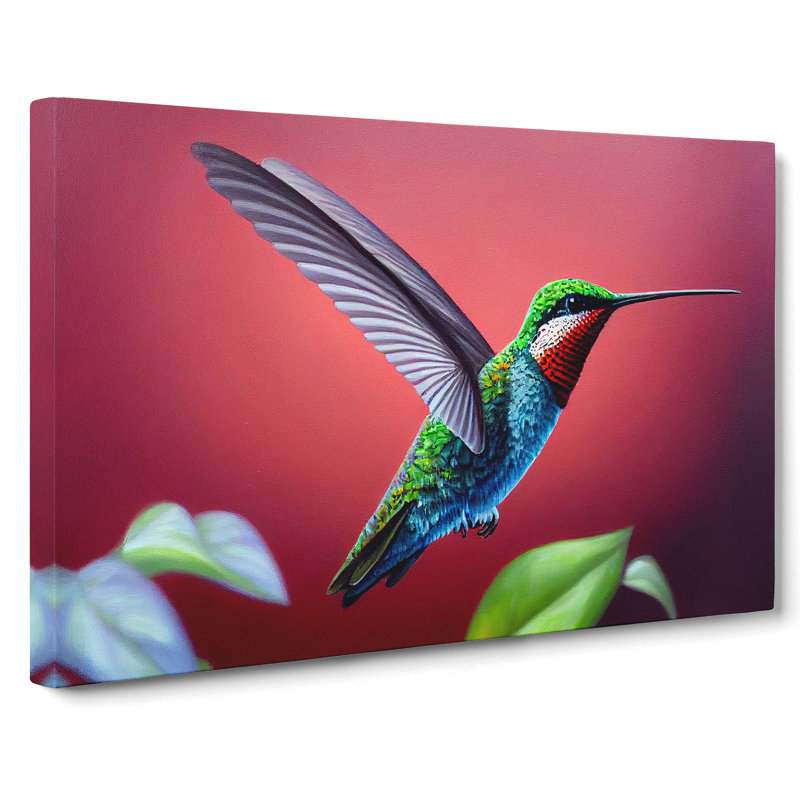 Charming Hummingbird - Wrapped Canvas Print, 50cm H x 76cm W x 3cm D