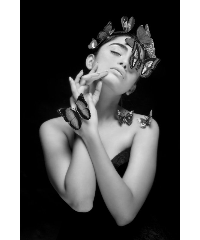 Wrapped Canvas Print, 50.8cm H x 76.2cm W