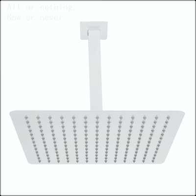 Rain Shower HeadLarge Rainfall Shower Head Made of 304 
Stainless Steel -  Replacement
For Your Bathroom Showerhead
