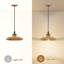 Luminaire suspendu simple à 1 lumière Rozalee-1721959390