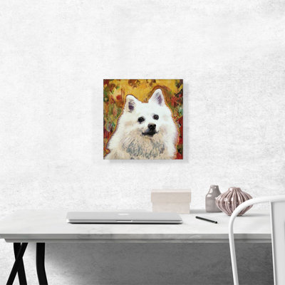 " American Eskimo Dog Breed Yellow Red "