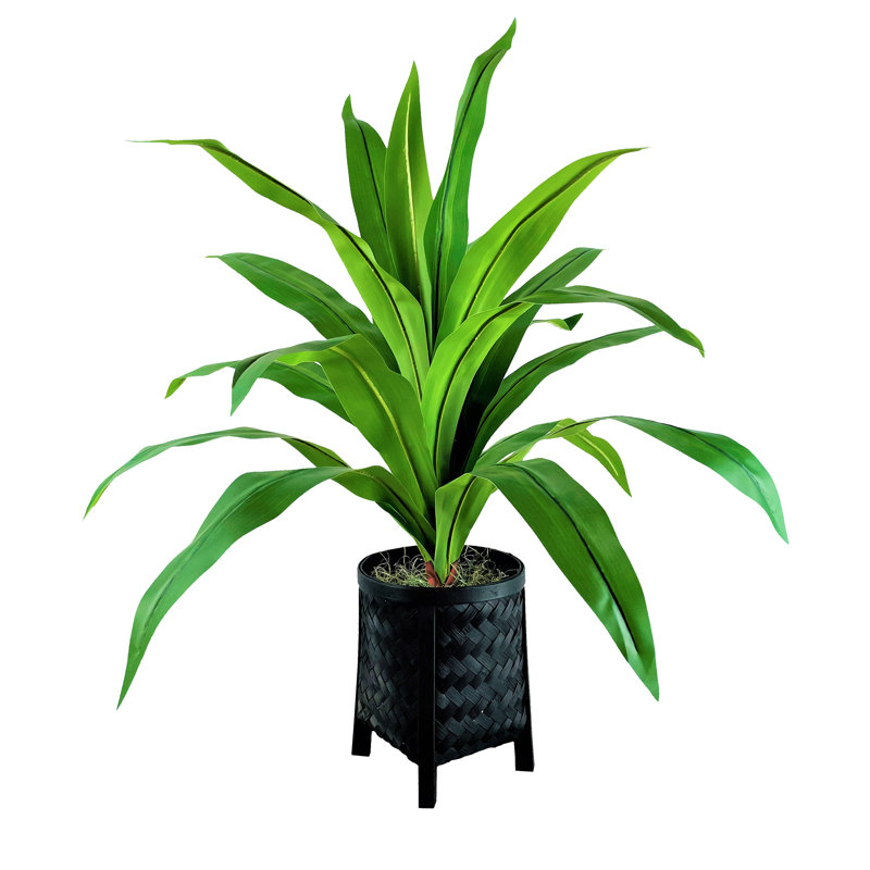 36 po Dracaena artificiel en panier