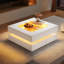 Coffee Table with Storage