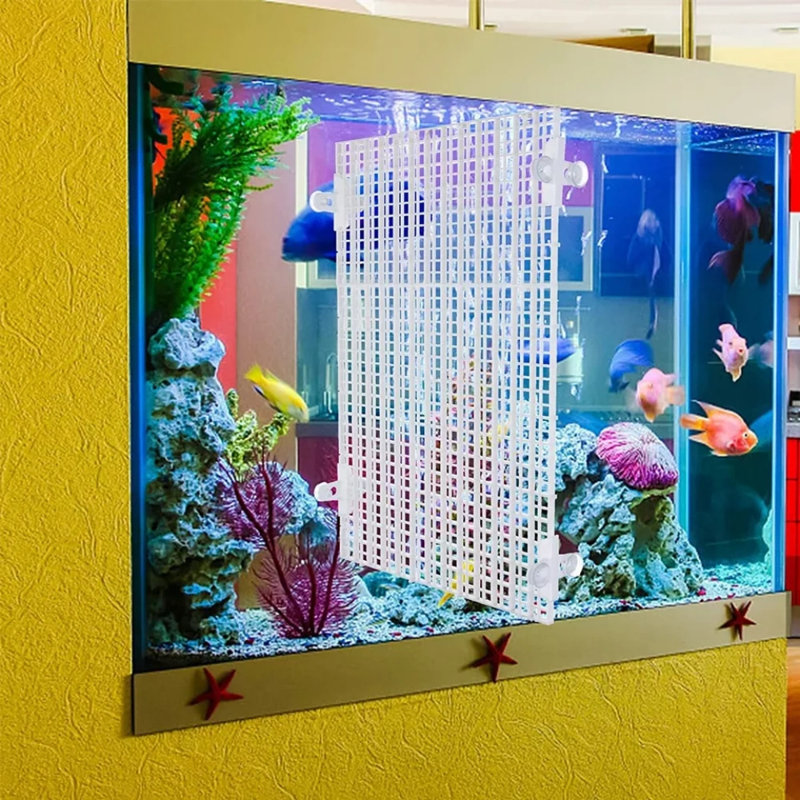 4 pièces Aquarium Divider Tray Egg Grid, Blanc