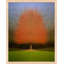 Persistence by Laura Zimmerman - Framed Wall Art-1529026731-1529026743