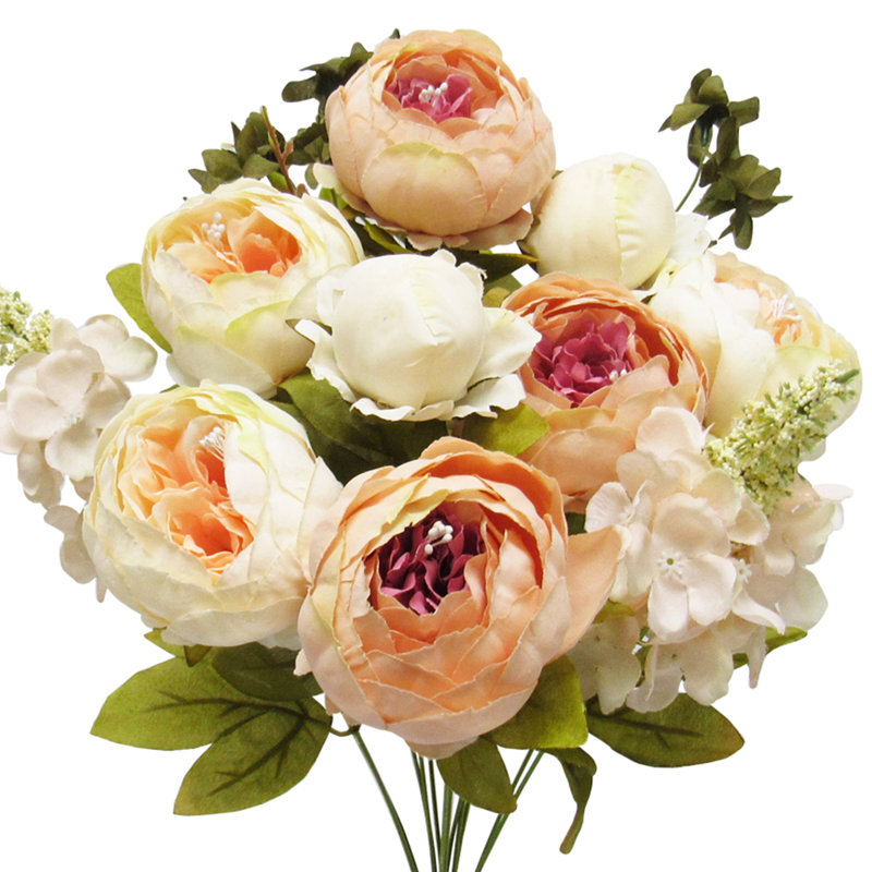 Buisson de pivoines de luxe mélangé, Crème / pêche