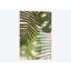 « tropical enchevêtrer i », art sur toile-32563937-72144573-72144574