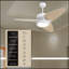 Light Pro 52 po Ventilateur de plafond intelligent DEL blanc avec télécommande-455836111