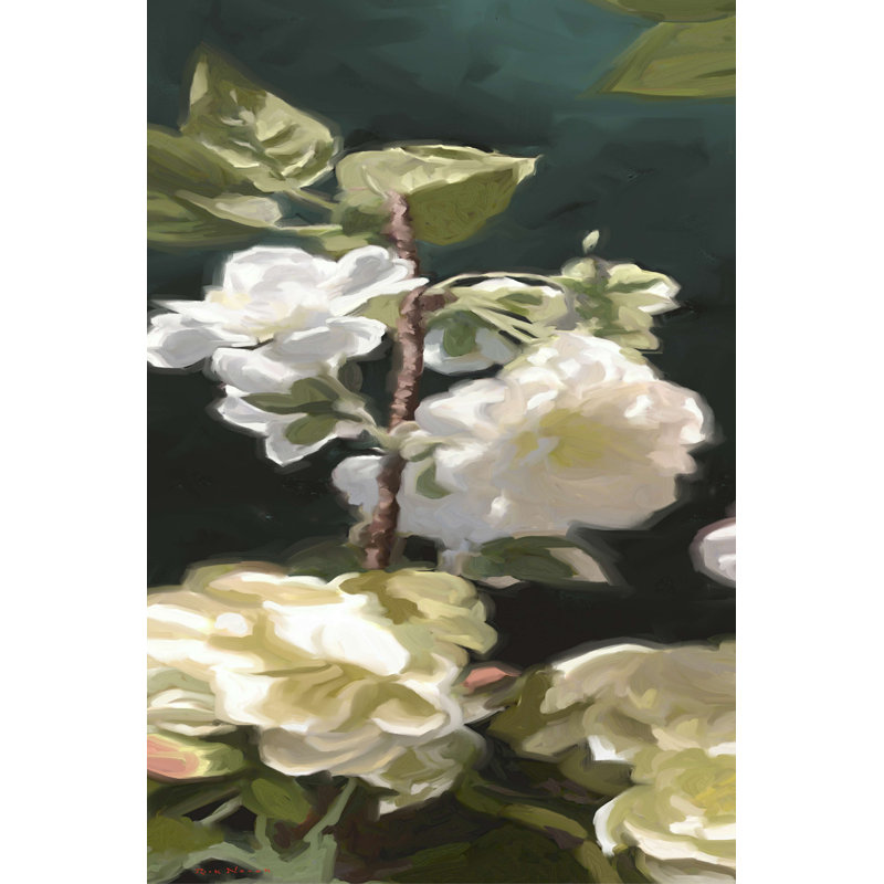 Roses blanches IV, H 12 po x l 8 po