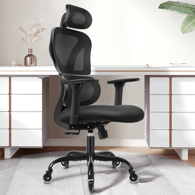 Isairis Ergonomic Mesh Task Chair with Headrest and 3D Adjustable Arms