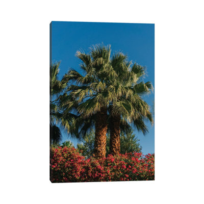Palm Springs Palms II by Bethany Young - Print on Canvas