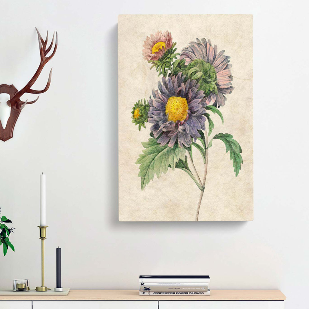 China Aster Flowers by Pierre-Joseph Redoute - Wrapped Canvas