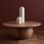 Gabribella Solid Wood Coffee Table-31907366