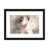 Black Framed Paper is unavailable