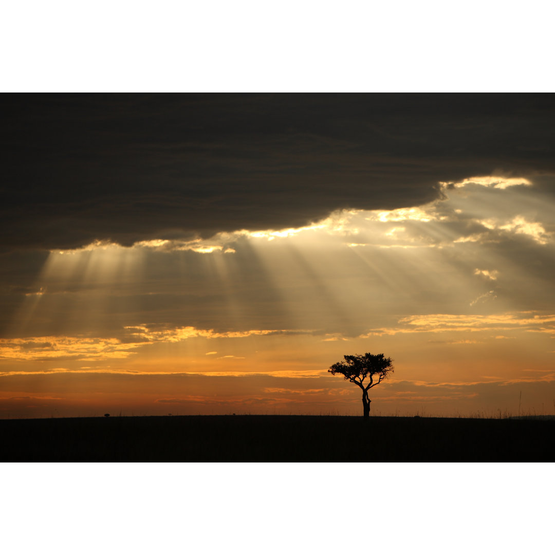 Afrikanischer Sonnenuntergang von GP - Leinwandbild