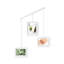 Exhibit Wall Picture Frames, Set of 3-55374967