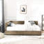 Structure de lit double rembourré en velours pleine grandeur - construction et design moderne, brun pour chambre à coucher, lit de jour avec rangement confortable-1411818206