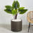 Handmade Pot Planter-1749131846-1749131840