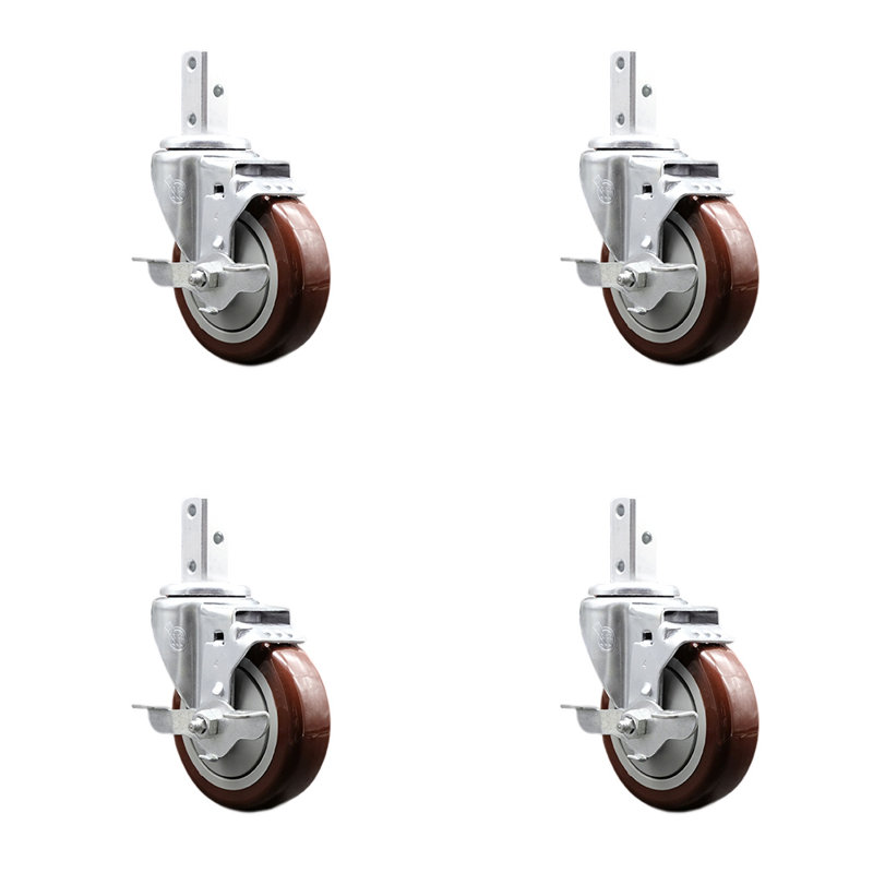 Poly roulette, Marron
