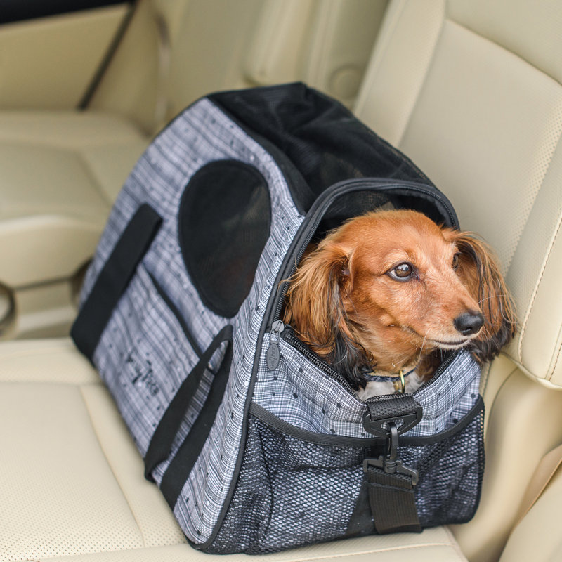 Cage de transport pour animaux Liya
