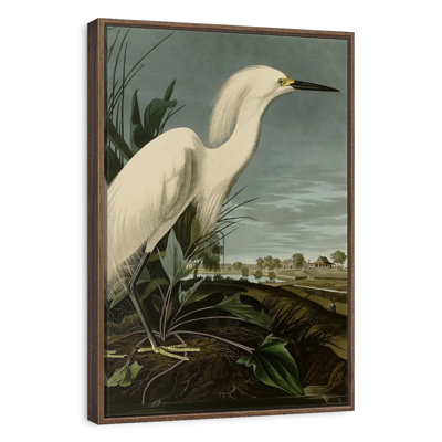 Héron enneigé ou aigrette blanche
