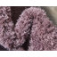Tapis mauve Alta-1255306323