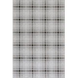 Andri Modern Plaid Machine Washable Rug