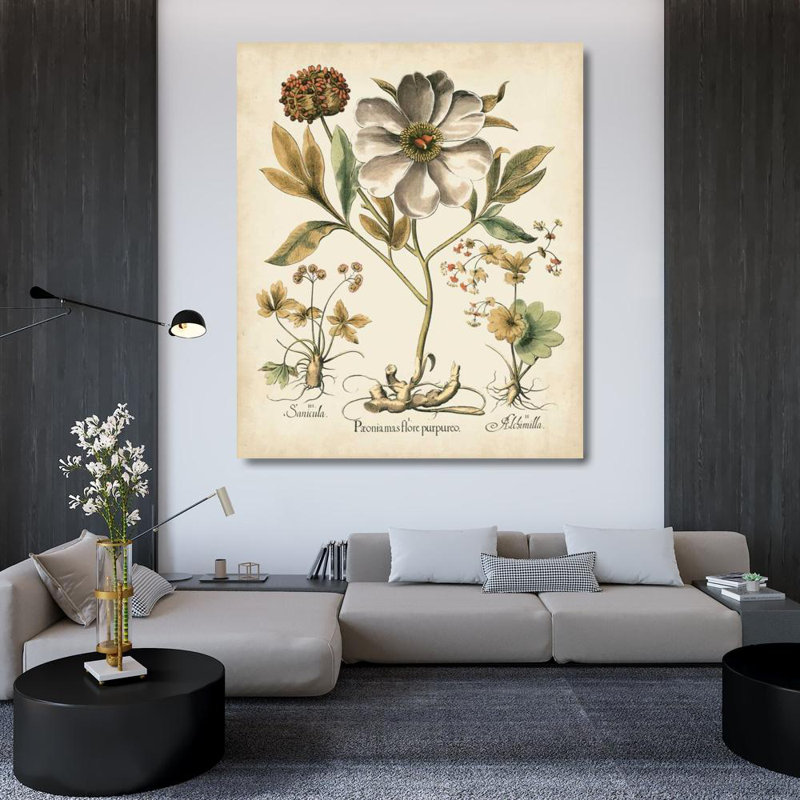 «Red Barrel Studio® Besler, Basilius», reproduction d'art sur toile tendue: Ivory Pivoines II, H 42 po x l 36 po