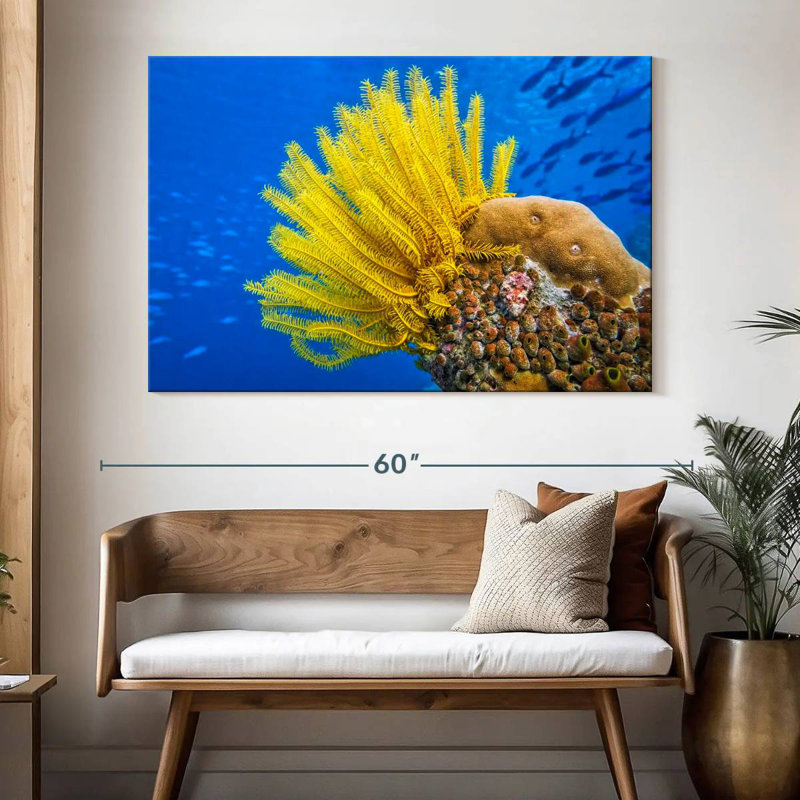 Étoile de mer à plumes jaunes Brampt, H 34 po x l 51 po