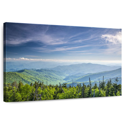Alvord Clingmans Dome Mountainscape