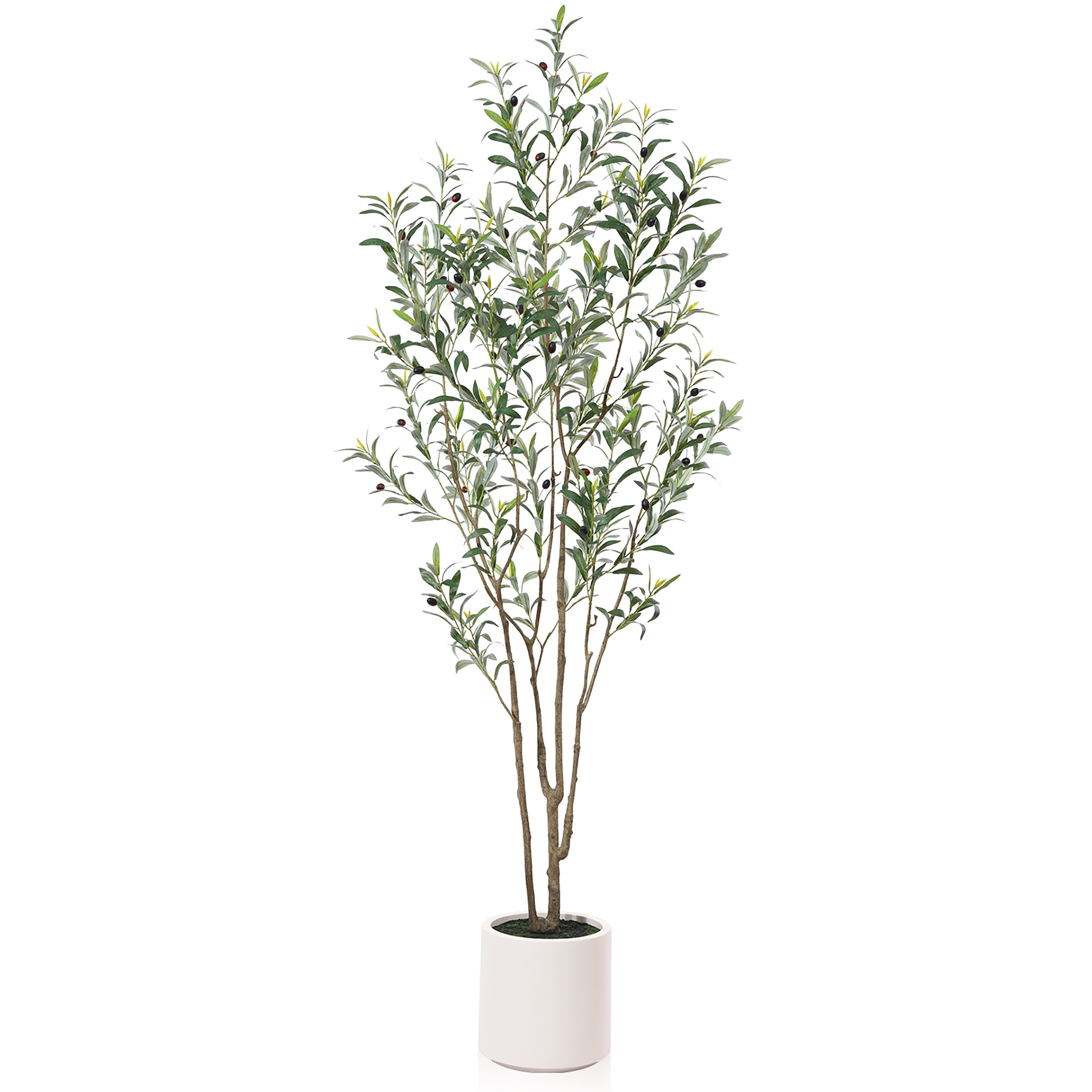 Faux Olive Tree in White Planter | Wayfair