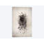 «Nest II», reproduction d'impression sur toile tendue-27701958-72447229-72447230