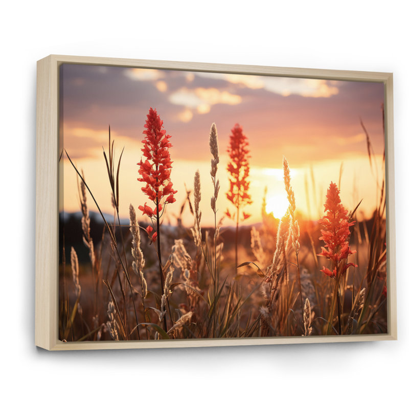 Champ de fleurs sauvages avec coucher de soleil, reproduction sur toile, H 24 po x l 32 po x P 1 po, Cadre naturel flottant