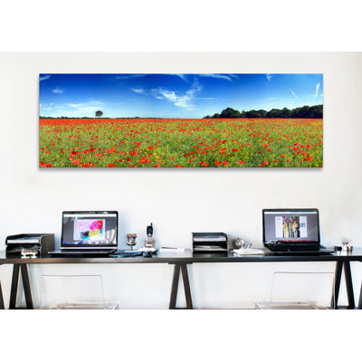 Coquelicots dans un champ, Norfolk, Angleterre - reproduction de photo panoramique sur toile tendue