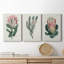 Protea N14 - Premium - Ensemble de 3 reproductions d'art sur toile tendue-819795924