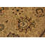 Tapis oriental en laine brun clair / noir 9 pi 1 po x 11 pi 11 po Aaru