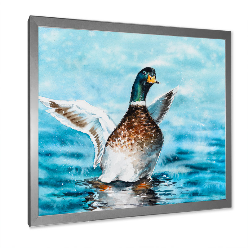 Canard colvert étirant ses ailes - sur, H 30 po x l 30 po x P 1 po, Impression argent sur toile encadrée